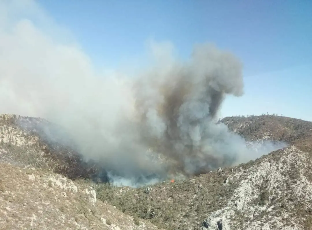 Complejo combate de incendios en Durango