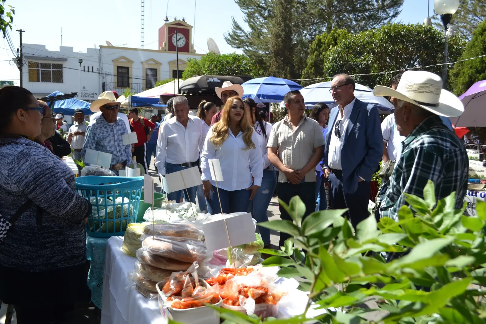 Impulsan la comercialización de productos agropecuarios: Sedeco