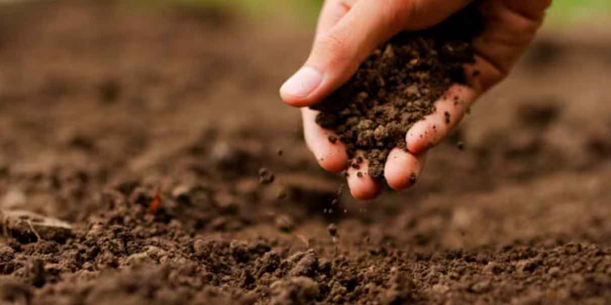Por una agricultura regenerativa, se fusionan Above Food y Bite Acquisition Corp