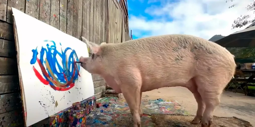 Pigcasso cerdita pintora