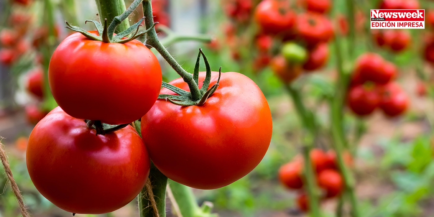 Consumo de alimentos responsable con el medioambiente