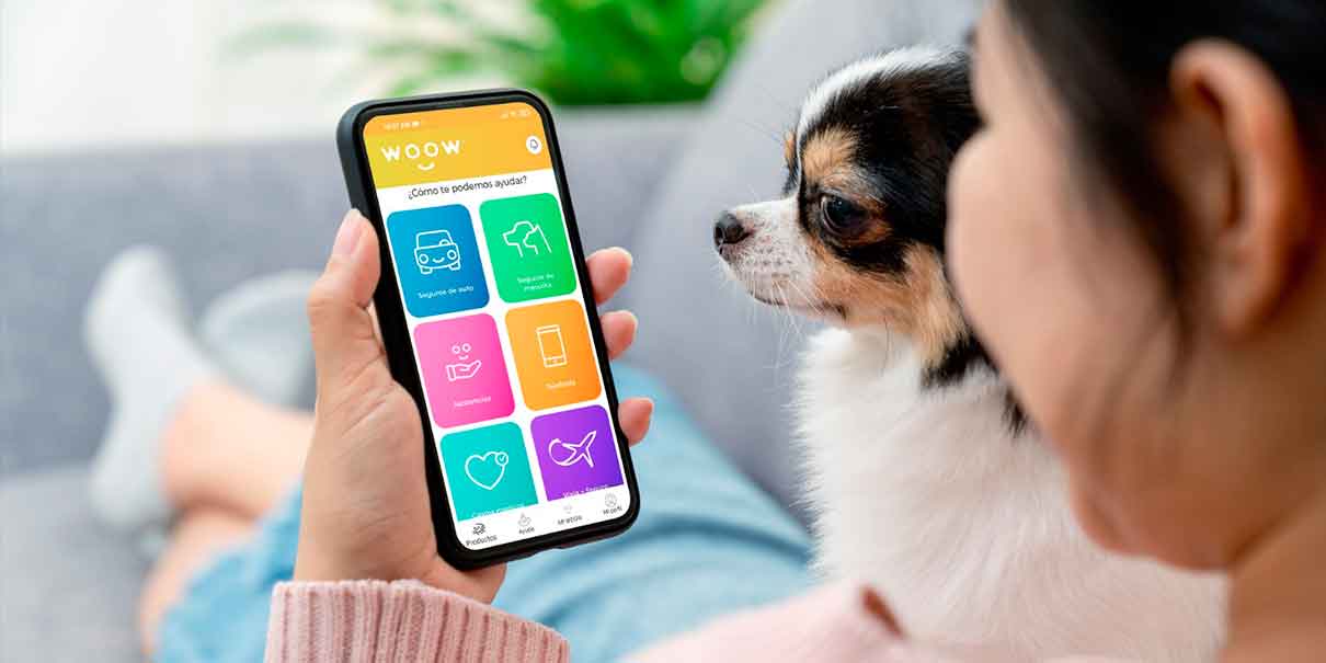 Seguros para mascotas en México: Protección y beneficios adicionales