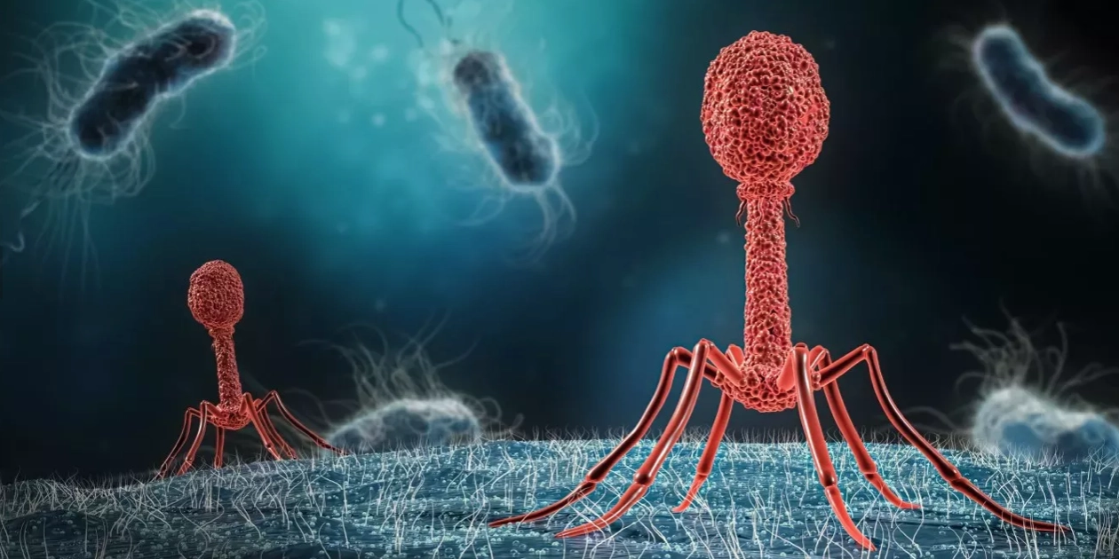 superbacterias