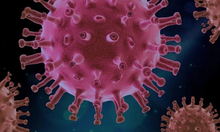 Fin de la pandemia de Covid-19: Las cifras del virus en Aguascalientes