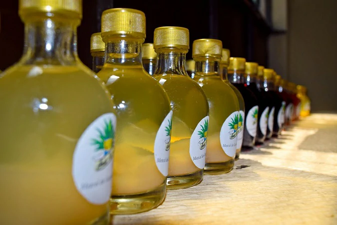 Aguascalientes se quedaría sin denominación de origen del mezcal