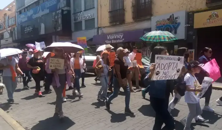 Piden activistas creación de línea telefónica para denuncias de maltrato animal
