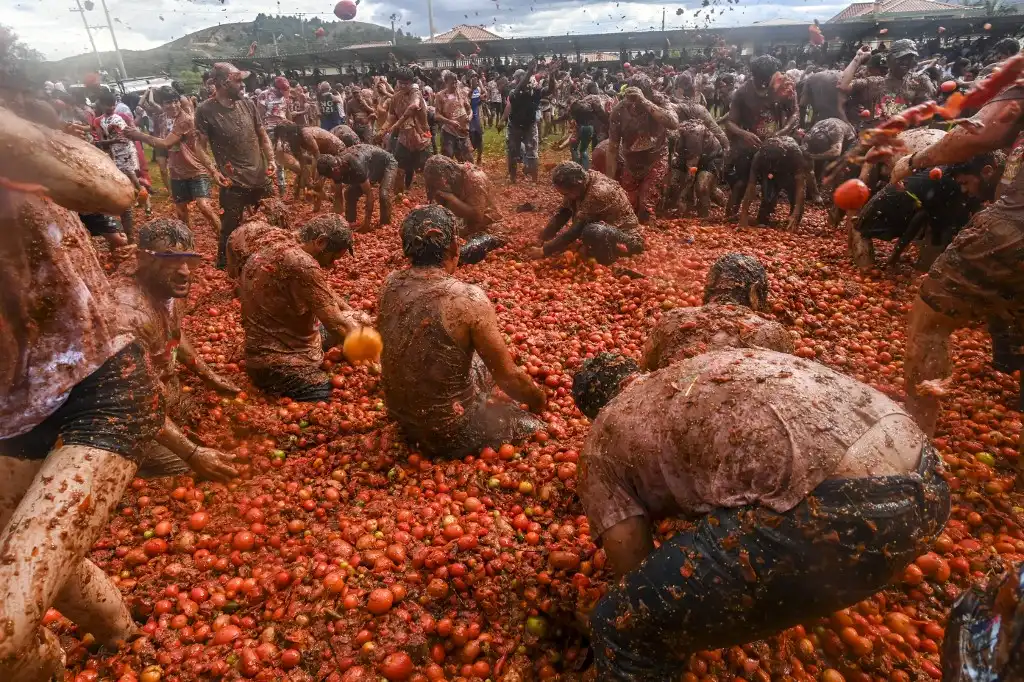 Batalla de tomates Colombia
