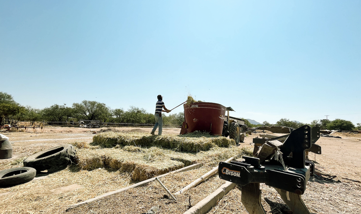 Entre la sequía y la inseguridad: así se vive la crisis en el campo