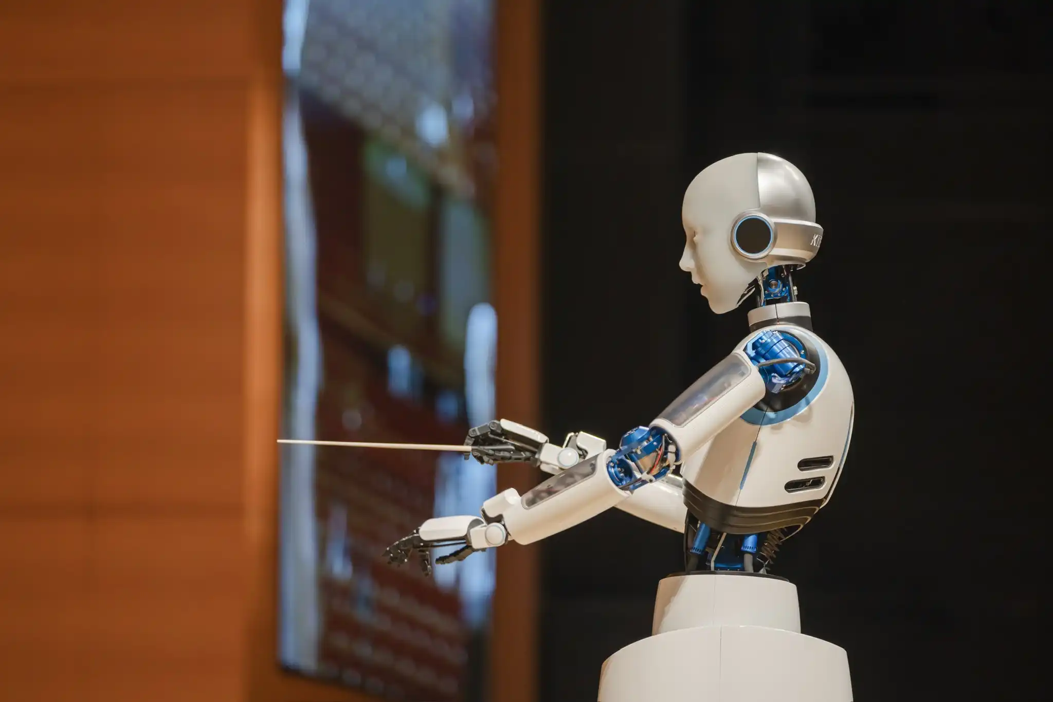 EveR 6 robot