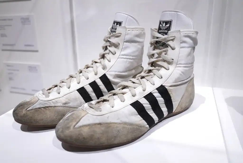 Tenis de Freddie Mercury