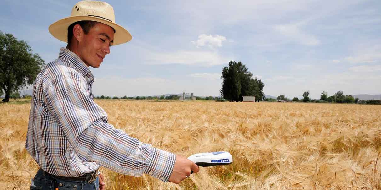 Heineken México cuida el agua y reduce sus emisiones desde el campo hasta el bar