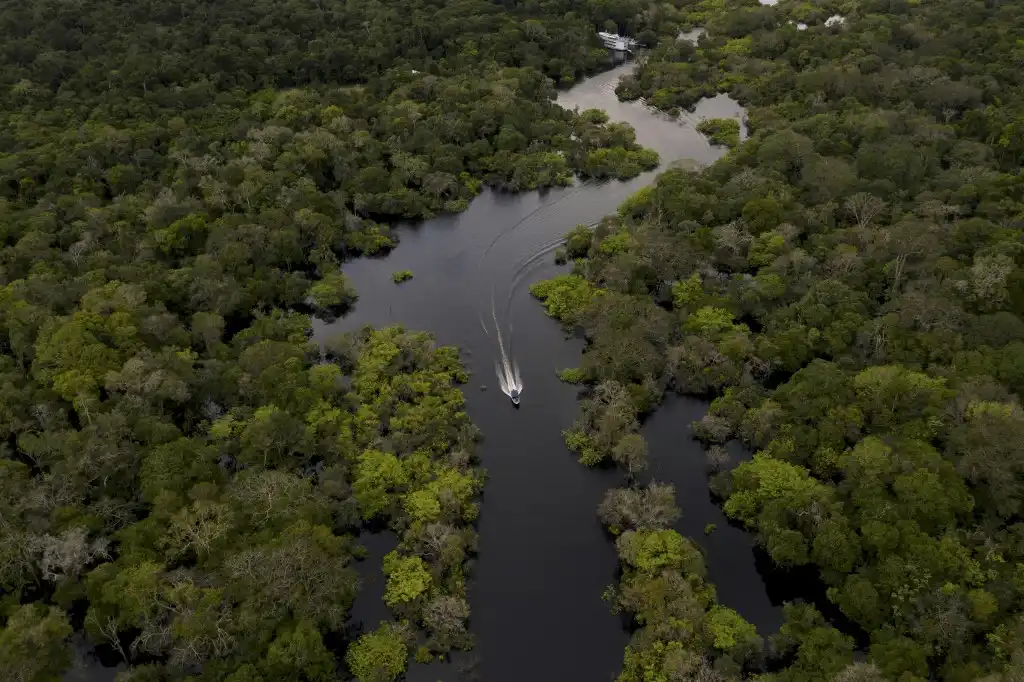 Nilo Amazonas