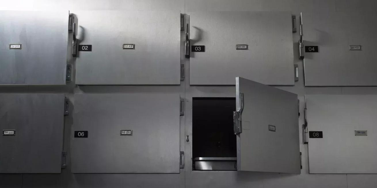 morgue Harvard