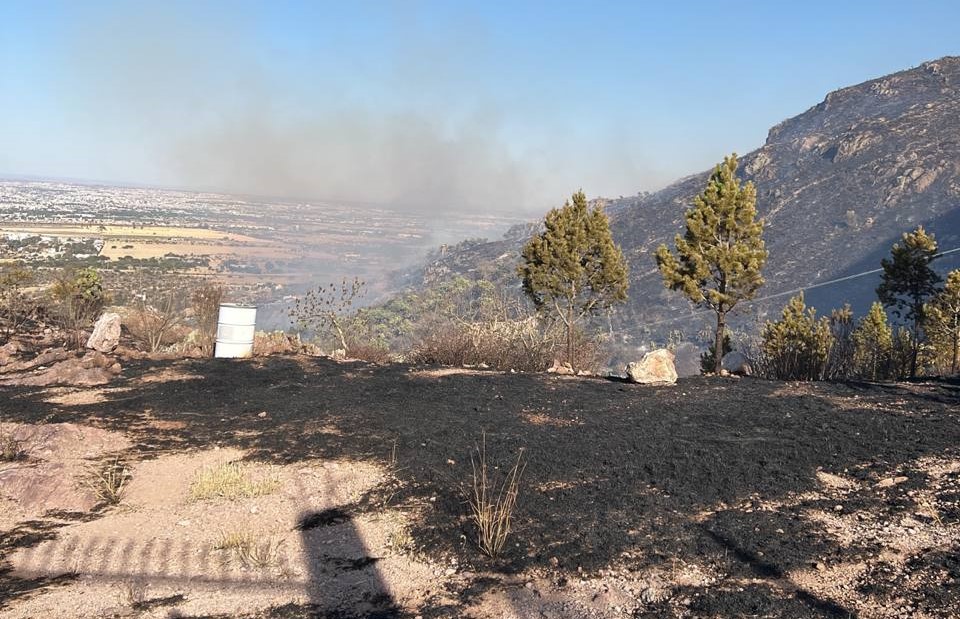 Incendio en el Cerro del Muerto consumió 40 hectáreas