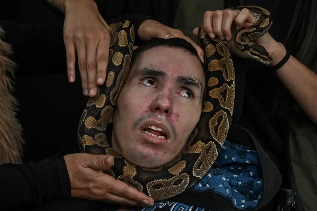 reptiles tratamiento