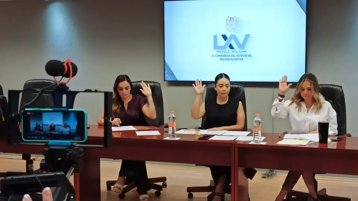 Diputados de Aguascalientes avalan cambios en pro de personas con discapacidad