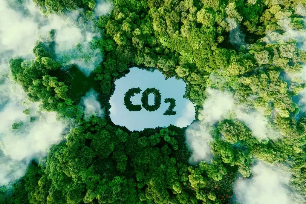 Técnicas para reducir o eliminar el CO2 en la tierra son esperanzadoras