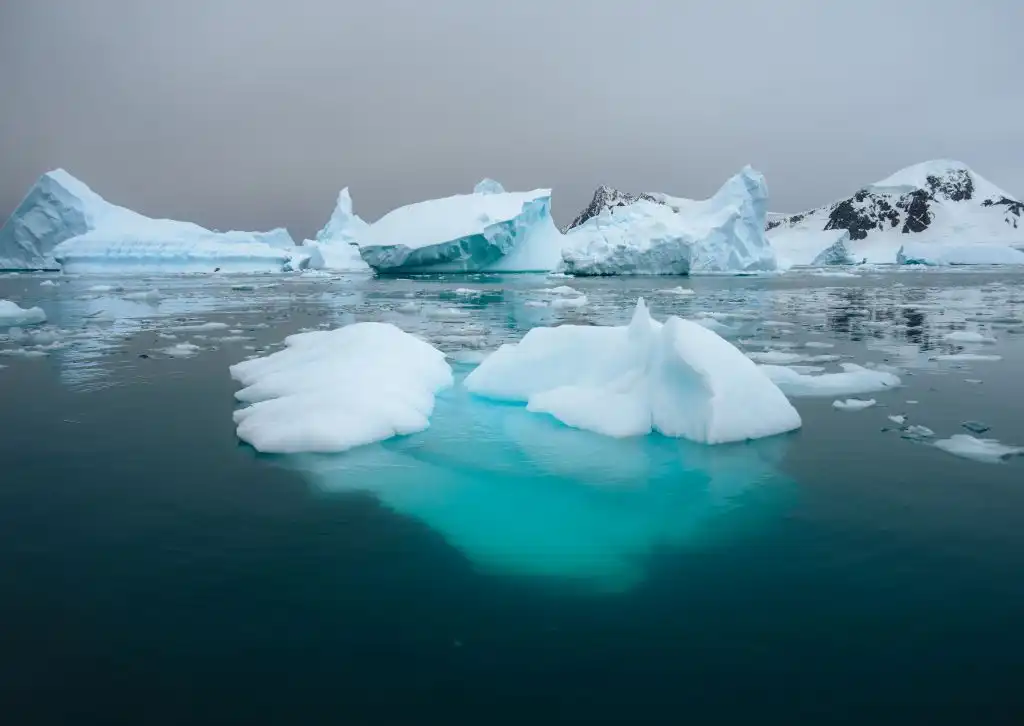 Cambio climático Ártico