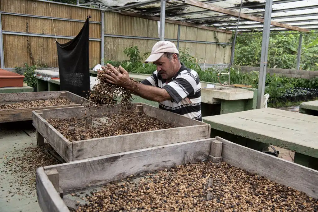Costa Rica guarda un banco de semillas para enfrentar una crisis climática o alimentaria