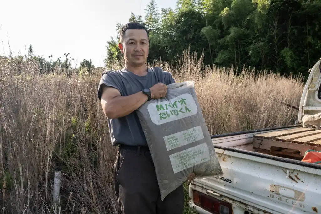 Centenaria tradición: heces humanas para fabricar fertilizantes