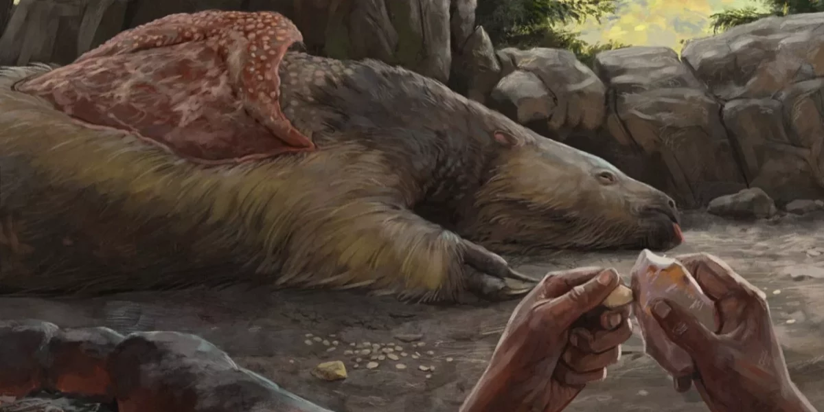 humanos Américas