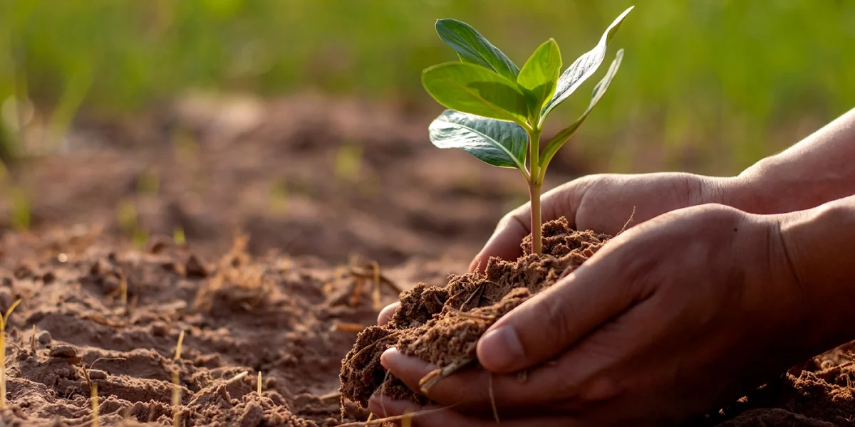 Impacto ambiental de los materiales, clave para un futuro sostenible
