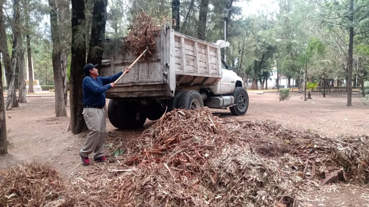 Por semana, retiran hasta 7 toneladas de basura de los parques 