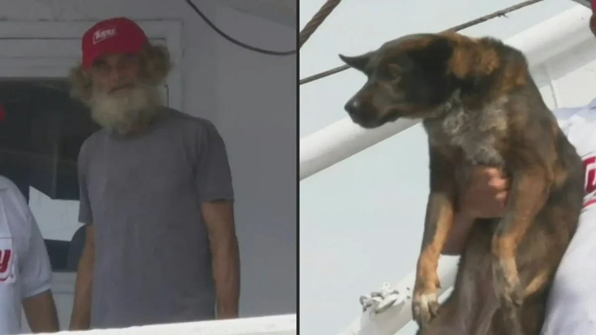 Náufrago rescatado con perrita