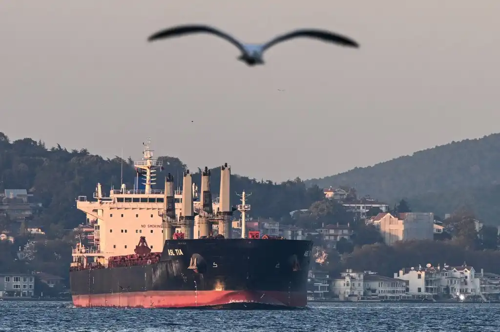 Rusia exportación de granos