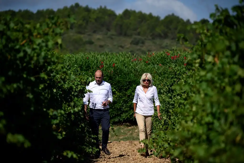 Viticultores cambio climático
