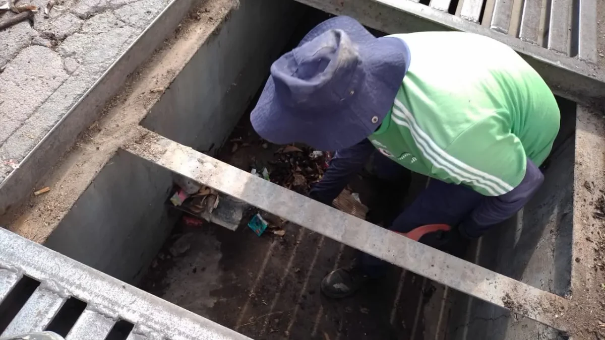 Intensifican limpieza de alcantarillas y caimanes en Jesús María