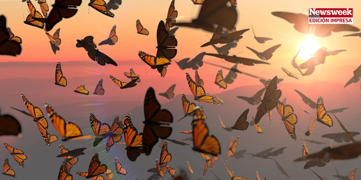 la mariposa monarca