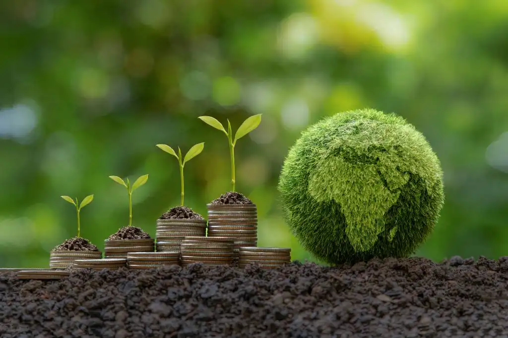 Créditos de carbono: ¿qué son y por qué no han funcionado?