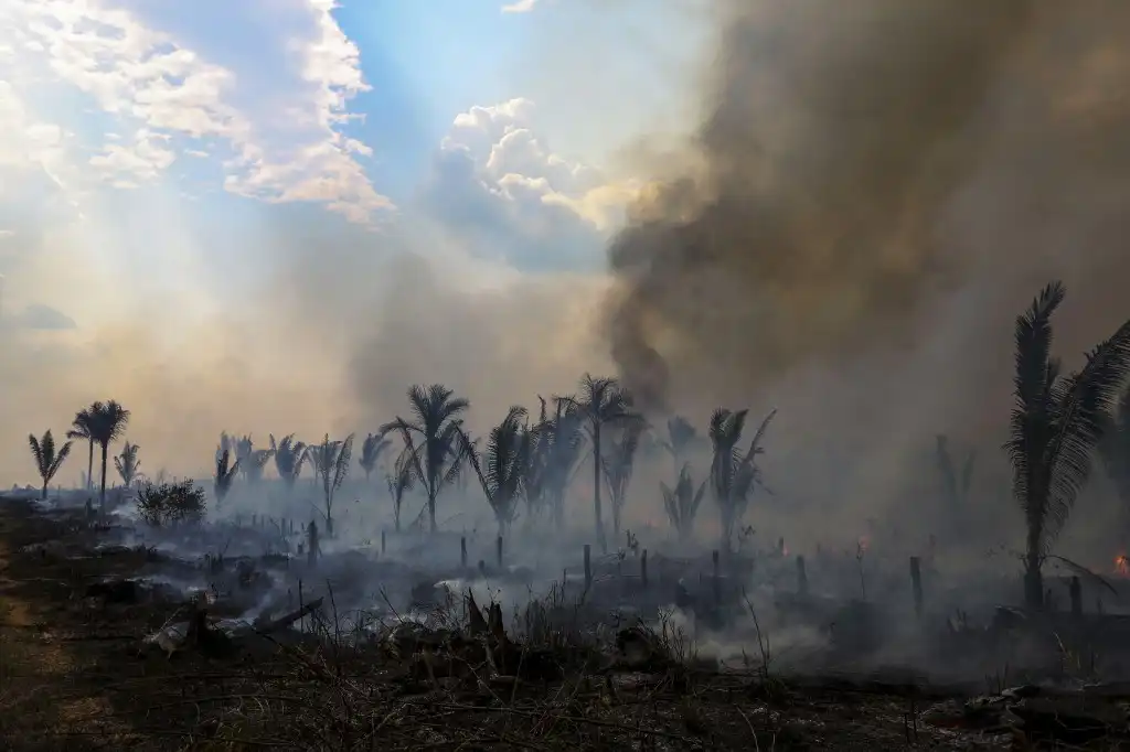 Ocho países de la Amazonia acuerdan alianza para enfrentar la deforestación
