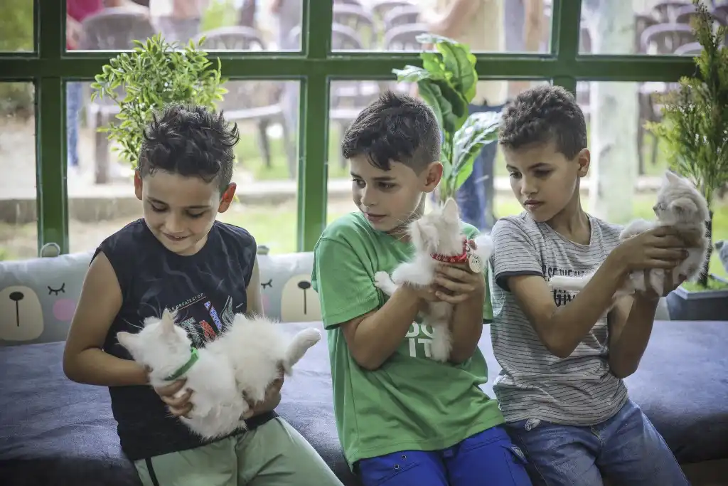 Gaza inaugura primer café con gatos para liberar el estrés psicológico