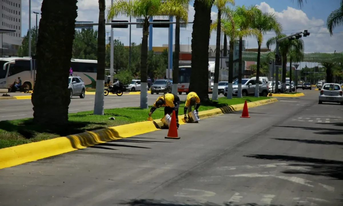Continúa rehabilitación de bulevares y avenidas 