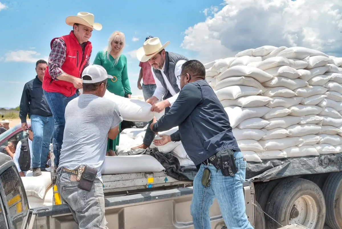 El gobierno estatal entrega semillas a productores del campo  