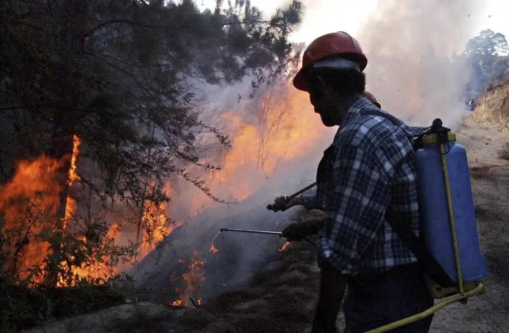 Incendios forestales mortíferos