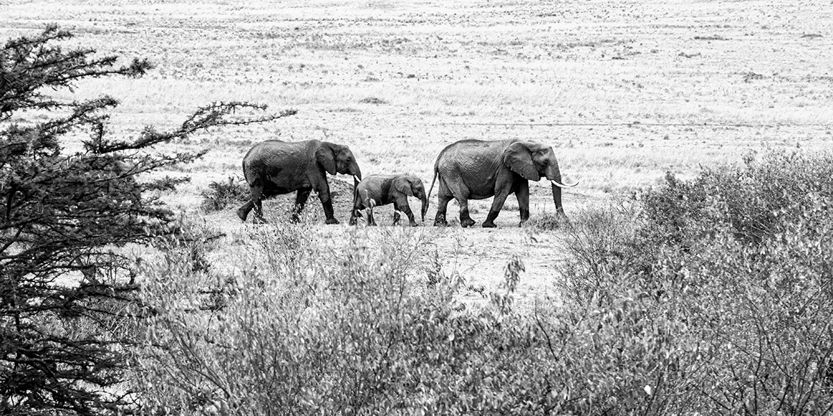 Kenia África