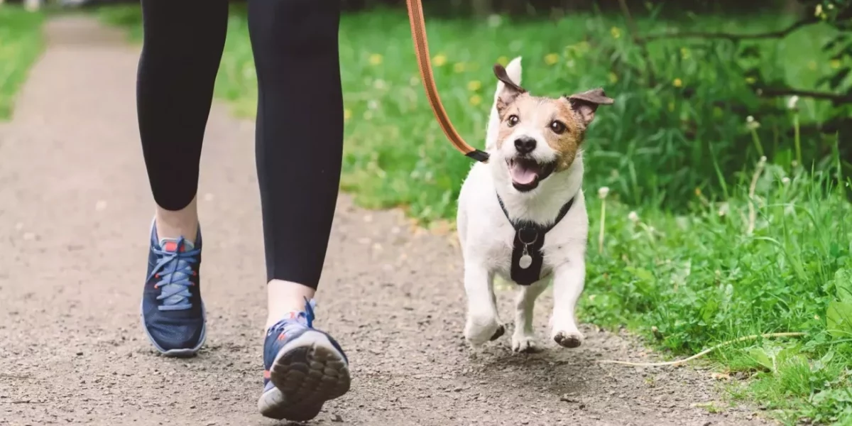 perros mujeres