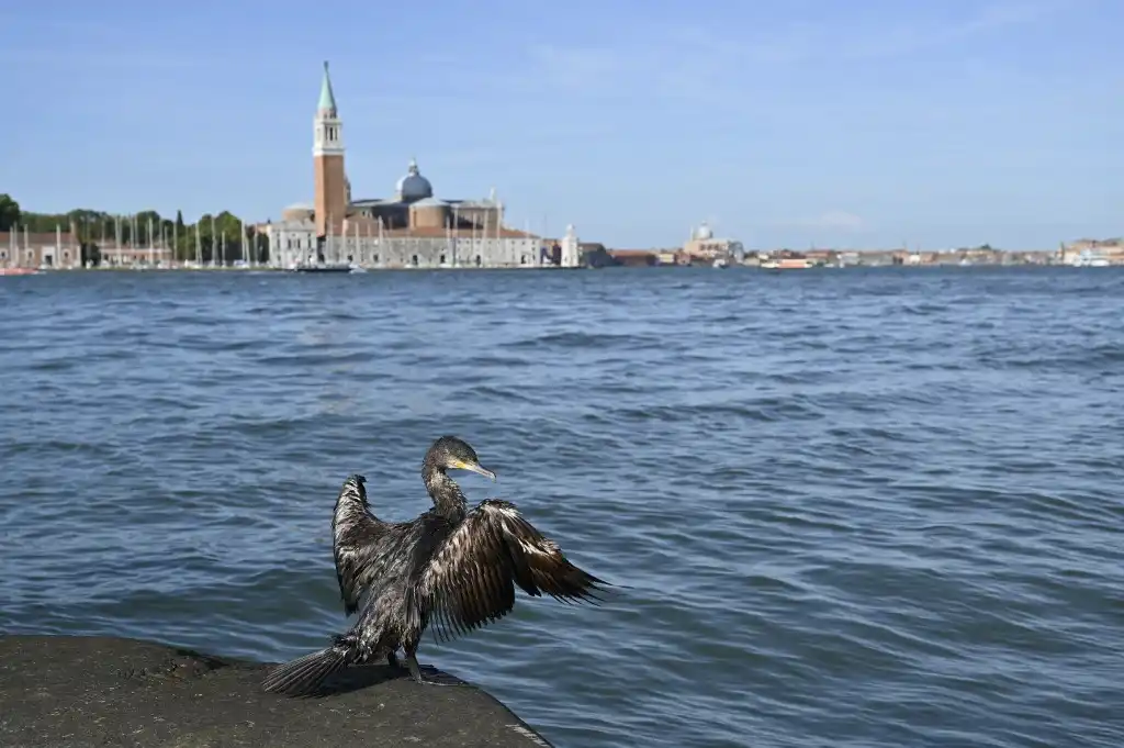 Venecia