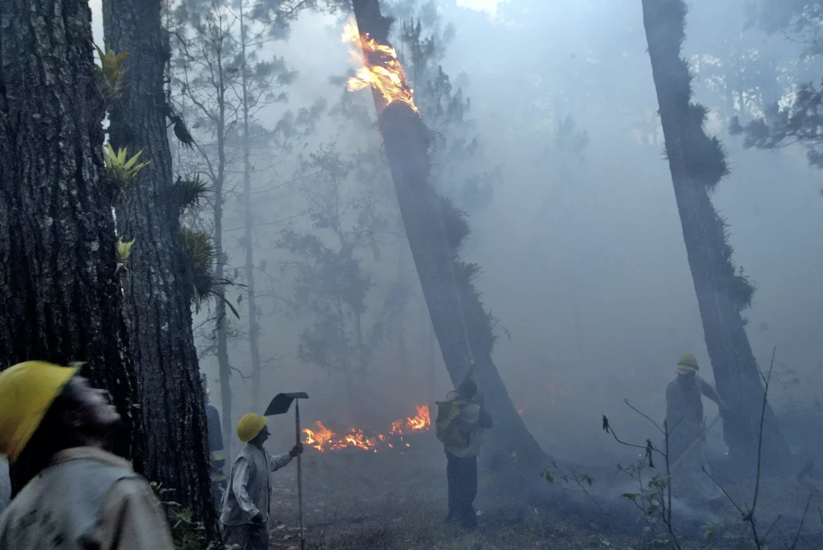 incendios forestales