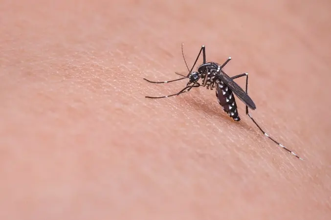 Estudiarán presencia de dengue en Aguascalientes