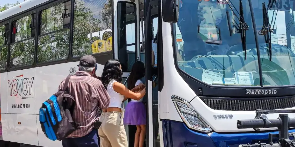 Camiones oruga volverán a circular hasta terminación del Tercer Anillo