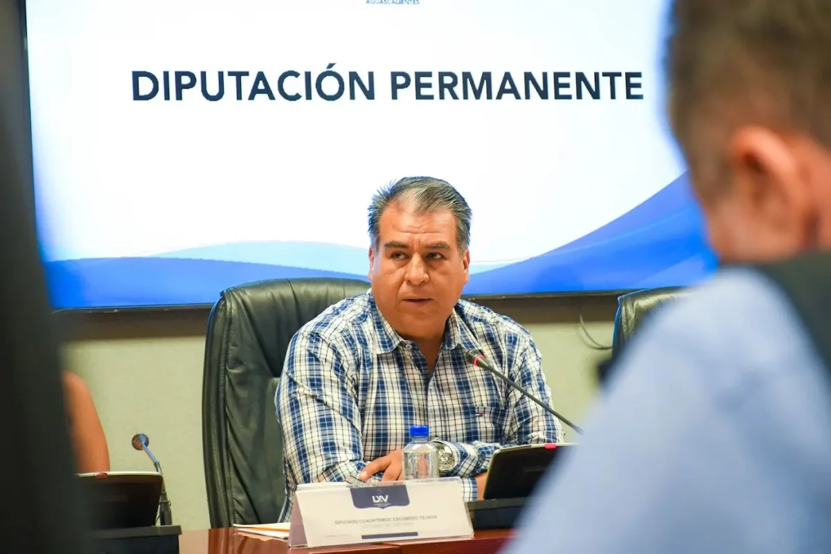 Proponen que el IEA diseñe más materiales educativos para escuelas de Aguascalientes