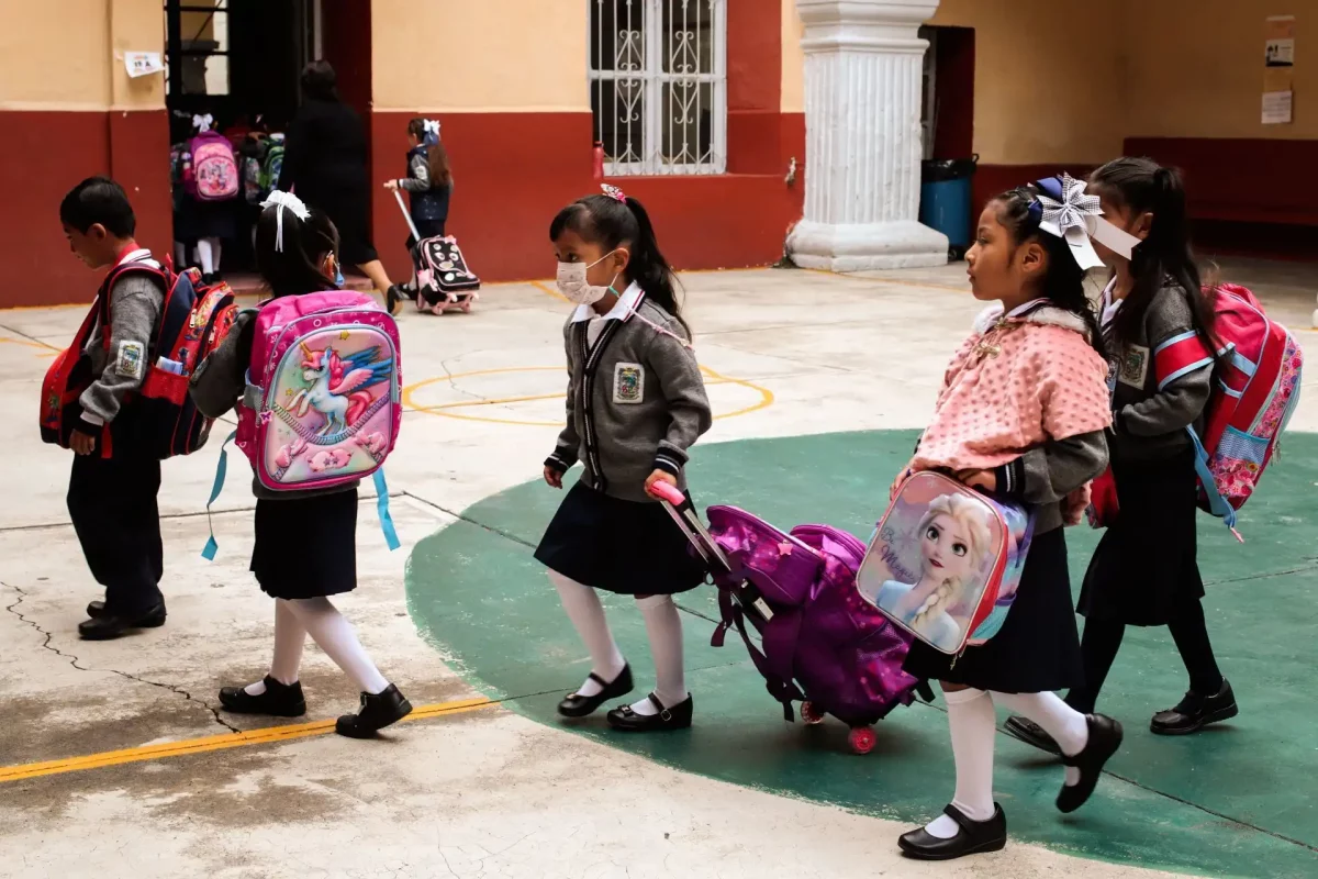 SEP primaria