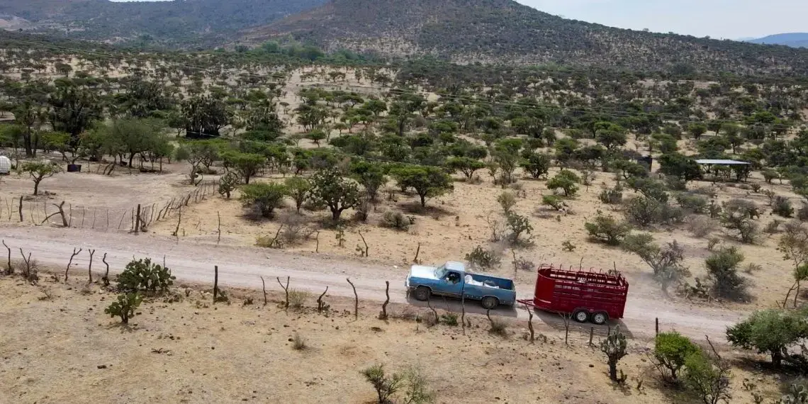 Persiste la sequía extrema en Aguascalientes