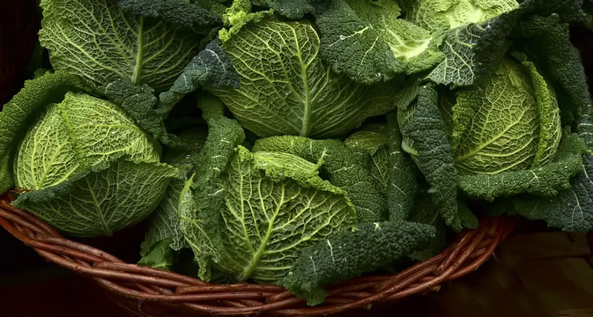 verduras verde infartos