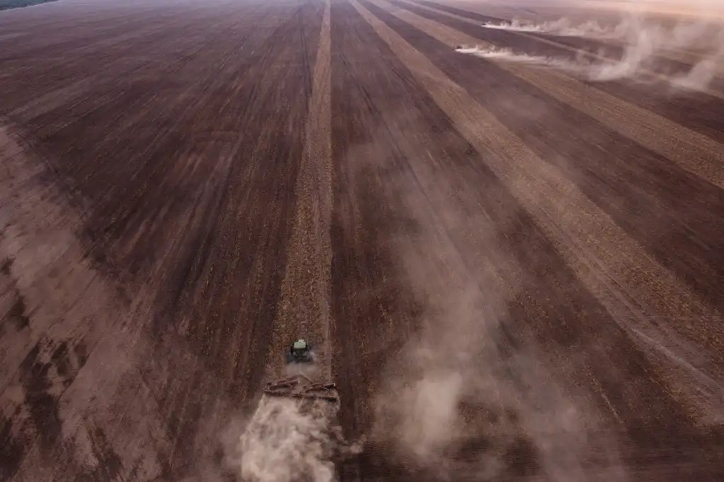 La sabana con mayor diversidad del mundo es engullida por la expansión agrícola