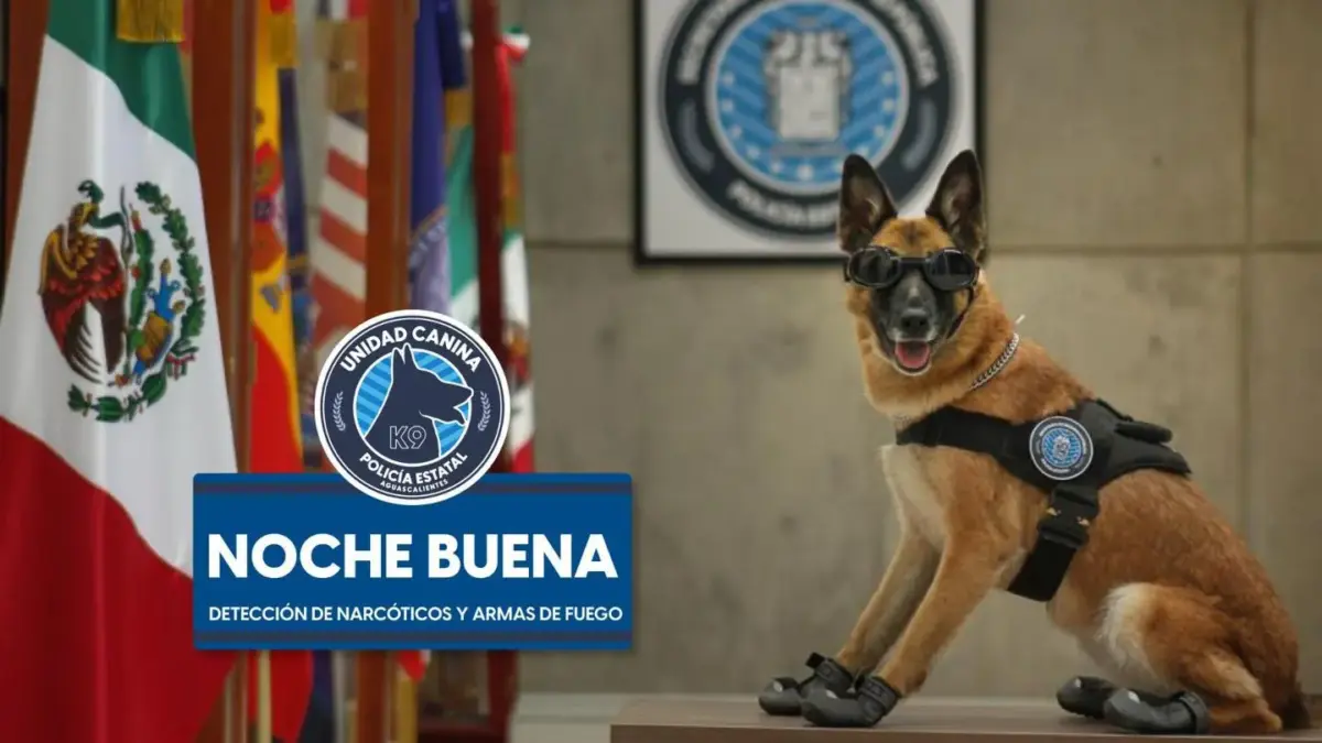 Se investiga muerte de “Nochebuena”, can policía de Aguascalientes